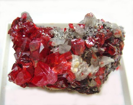 _Realgar xx_Calcit xx_KS_Shonghuang Kuan Mine_Shimen Co._Hunan Prov._China_Peter.jpg