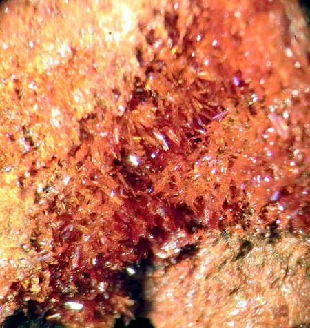 _Realgar xx_Auripigment_Ausschnitt aus KS_BB 6 mm_Getchell Mine_Adam Peak_Potosi Distr._Humboldt Co._Nevada_USA_Peter.jpg