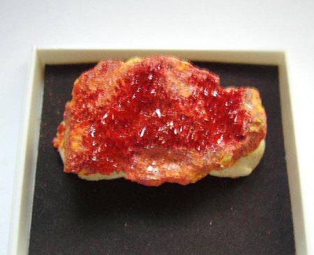 _Realgar xx_KS_Getchell Mine_Adam Peak_Potosi Distr._Humboldt Co._Nevada_USA_Peter.jpg