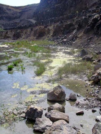 __Ober Widdersheim_Steinbruch_Talsohle Ankunft 2_Peter_5.7.09.JPG