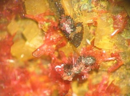Freistehende Erythrinkristalle bis 1 mm auf Dolomit von der Grube Jeremias bei Obernitz..jpg