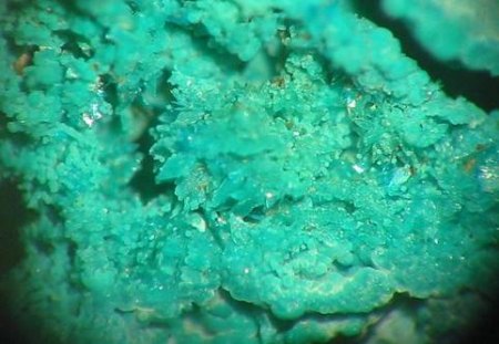 Spitz zulaufende Posnjakitkristalle auf Brochantit vom Pfefferschacht, gefunden Anfang der 1990er Jahre.jpg