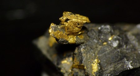 gold_uraninite.jpg