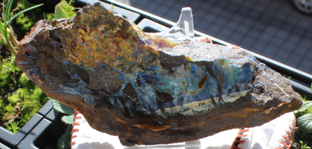 AUSTRALISCHER BOULDEROPAL