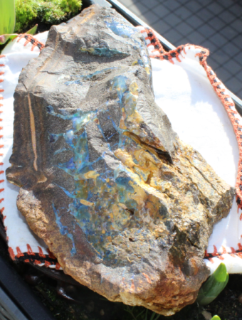 AUSTRALISCHER BOULDEROPAL