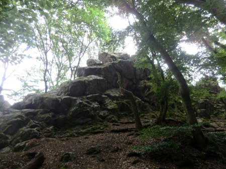 Kurzfassung - Pseudomorphosen- und Kappenquarzgänge im Taunus - hier: Wiesbaden-Frauenstein