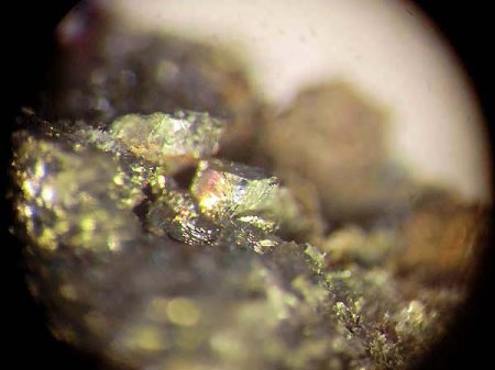 _Hauchecornit xx_Chalkopyrit_BB 1,3 cm_Vermilion Mine_Sudbury_Ontario_Kanada_Peter_1b.jpg