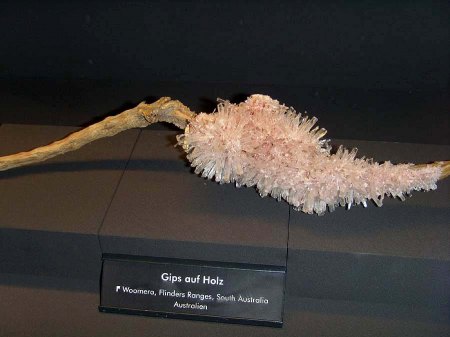 _terra mineralia_Gips auf Holz_Flinders Range_South Australia_Australien_Peter_17.10.10.JPG