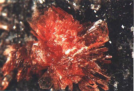 Montgomeryit xx_Tip Top Mine_Fourmile_Custer Distr._South Dakota_USA_Peter.jpg