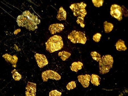 Gold Germersheim  40X_Lutz_Peter.jpg