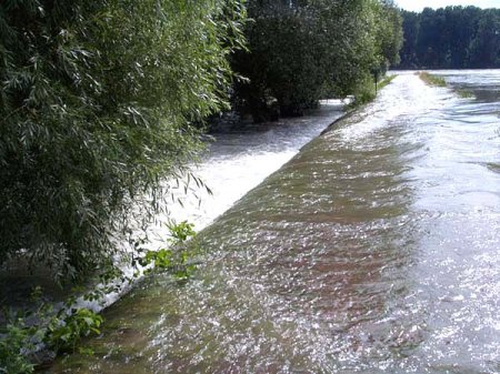 Goldwäsche_Germersheim_21.6.09_Hochwasser_2.jpg